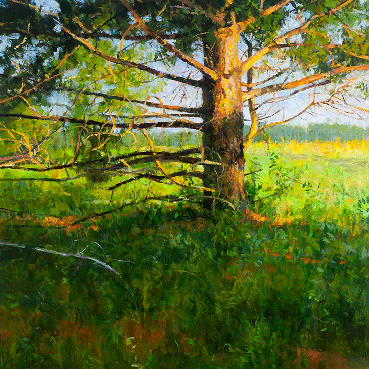 Code with Kubernetes Native Spring Boot